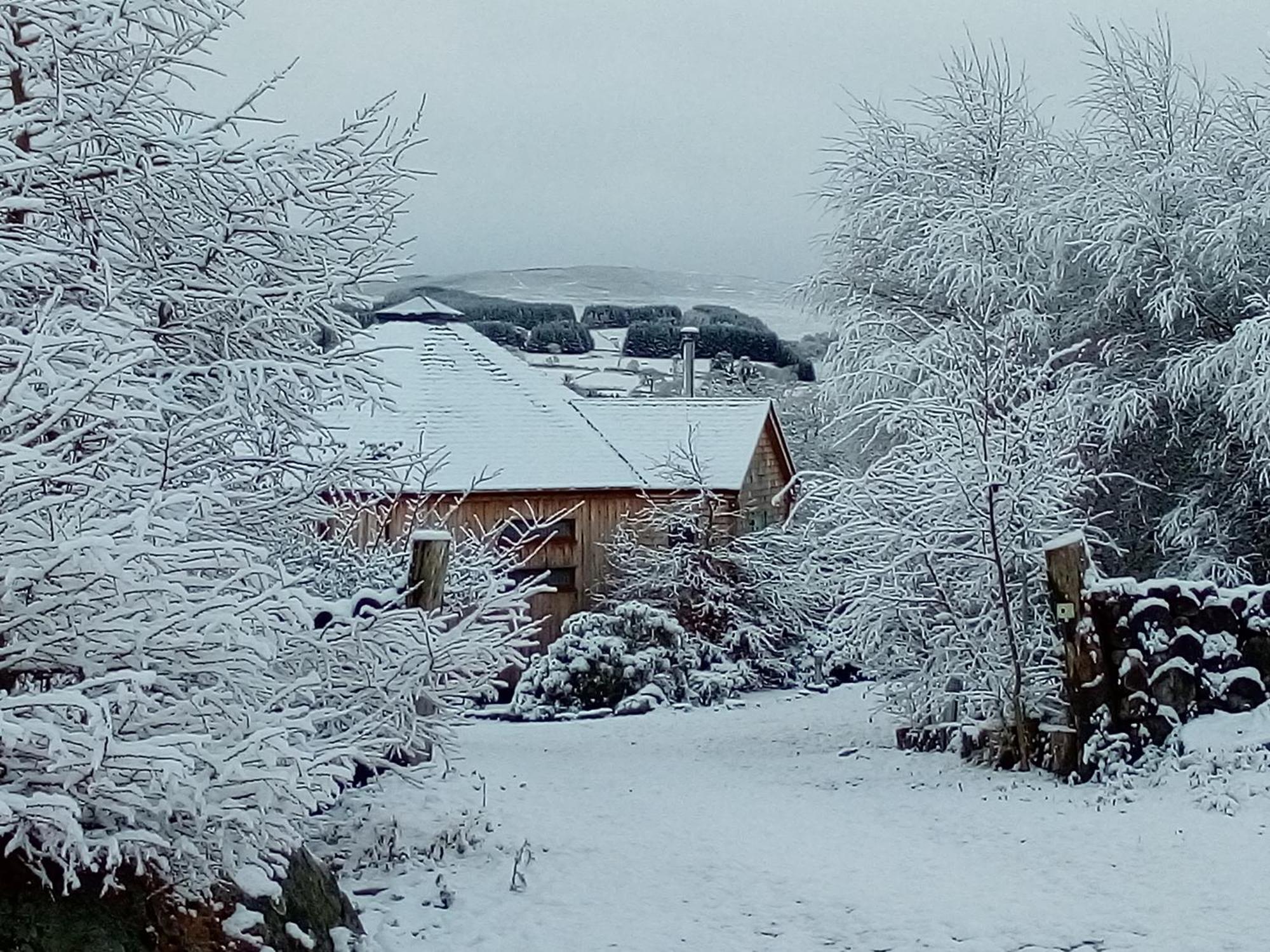 Dalnoid Cottages & Treehouses Nr Glenshee Екстер'єр фото